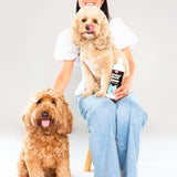 Wolflike dog grooming hair care products. Gentle dog shampoo and conditioner for dogs with sensitive skin. Deodorizing shampoo for dogs with sensitive skin. Wolflike Ritual Wash dog shampoo and conditioner. Clean dog care and grooming products. Ultra gentle, safe for dogs and for humans. Hormone friendly. Vegan and gluten free dog care grooming products. Doodle grooming products.
