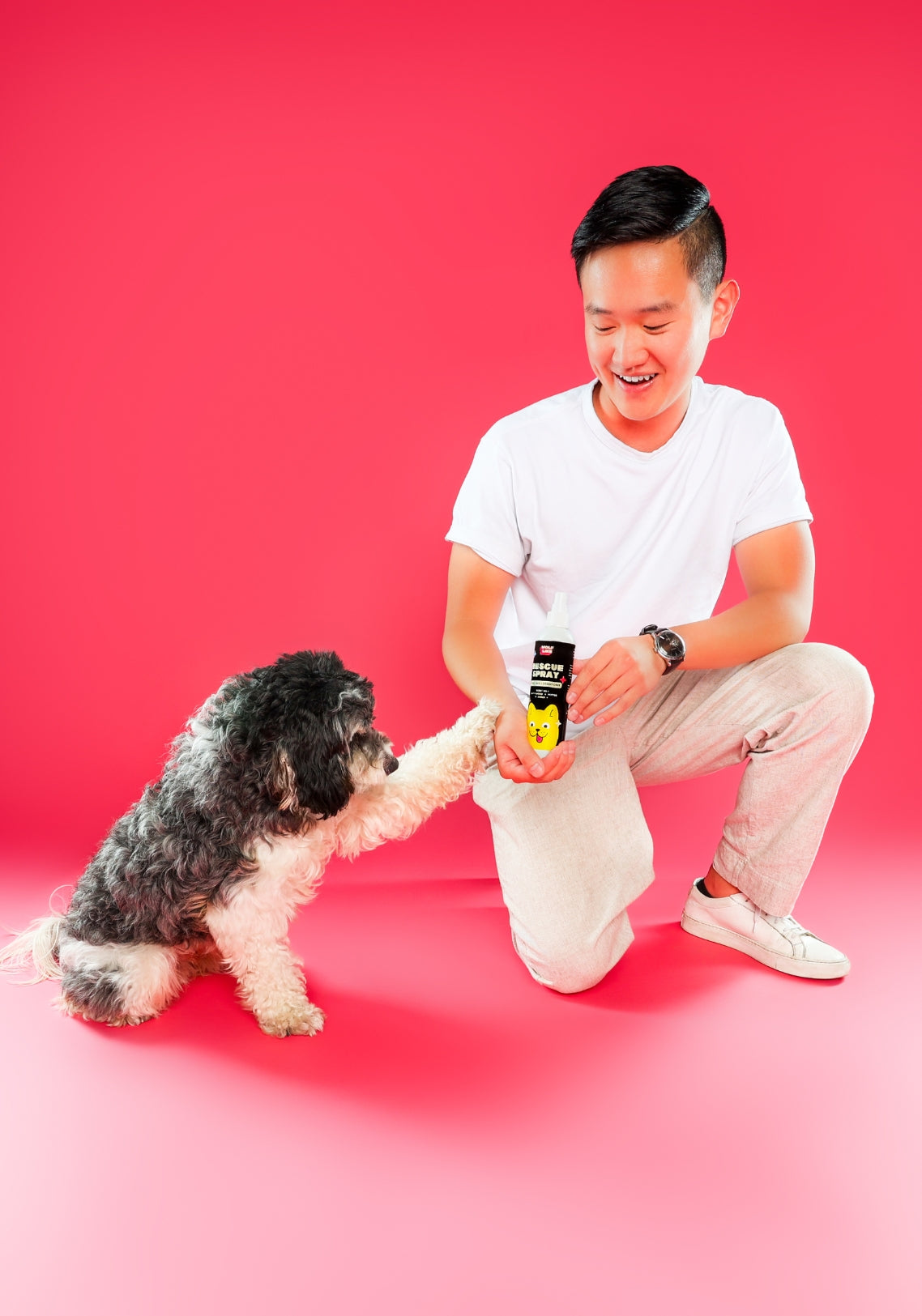Gentle deodorizing spray, gentle conditioning spray for dogs with sensitive skin. Wolflike Rescue Spray Cereal and Cashmere. Clean dog care and grooming products. Ultra gentle, safe for dogs and for humans. Hormone friendly. Vegan and gluten free dog care grooming products.
