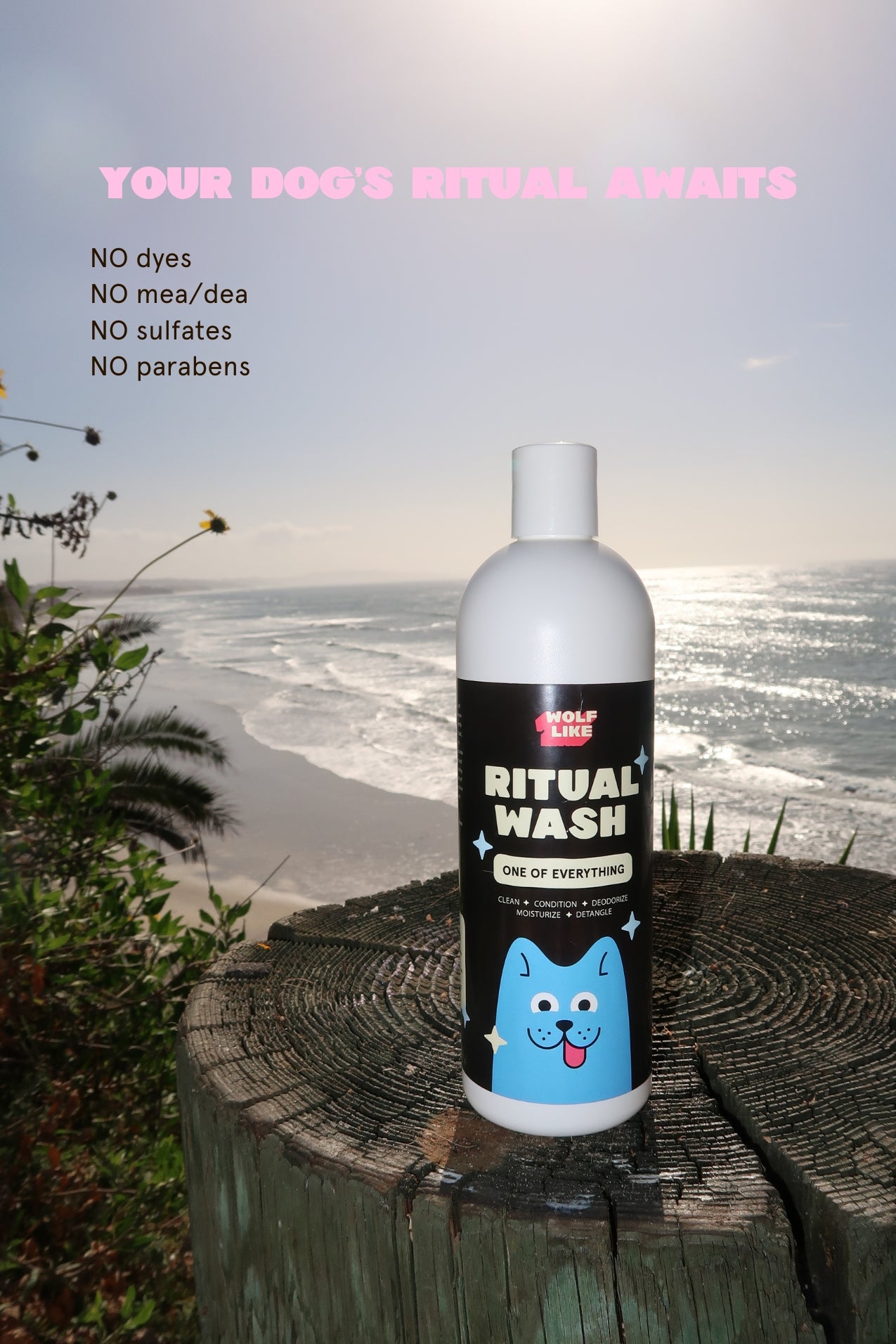 Gentle dog shampoo and conditioner for dogs with sensitive skin. Deodorizing shampoo for dogs with sensitive skin. Wolflike Ritual Wash dog shampoo and conditioner. Clean dog care and grooming products. Ultra gentle, safe for dogs and for humans. Hormone friendly. Vegan and gluten free dog care grooming products.