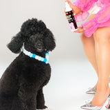 Gentle deodorizing spray, gentle conditioning spray for dogs with sensitive skin. Wolflike Rescue Spray Cereal. Clean dog care and grooming products. Ultra gentle, safe for dogs and for humans. Hormone friendly. Vegan and gluten free dog care grooming products. NYC Poodle Brothers, Rocky and Vandy.
