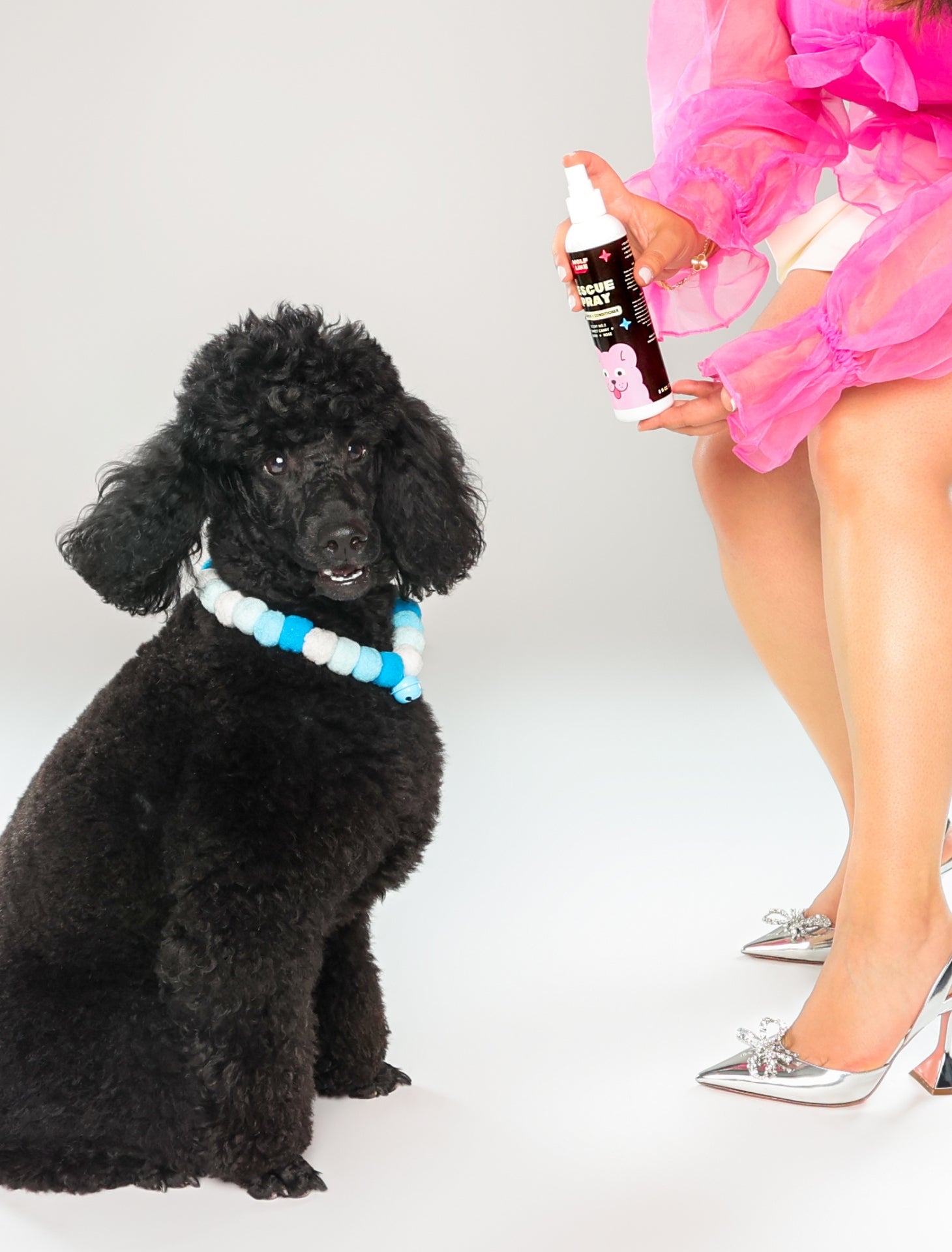 Gentle deodorizing spray, gentle conditioning spray for dogs with sensitive skin. Wolflike Rescue Spray Cereal. Clean dog care and grooming products. Ultra gentle, safe for dogs and for humans. Hormone friendly. Vegan and gluten free dog care grooming products. NYC Poodle Brothers, Rocky and Vandy.