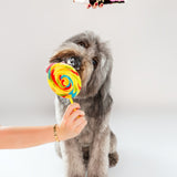 Gentle deodorizing spray, gentle conditioning spray for dogs with sensitive skin. Wolflike Rescue Spray Cereal. Clean dog care and grooming products. Ultra gentle, safe for dogs and for humans. Hormone friendly. Vegan and gluten free dog care grooming products. Doodle grooming products.