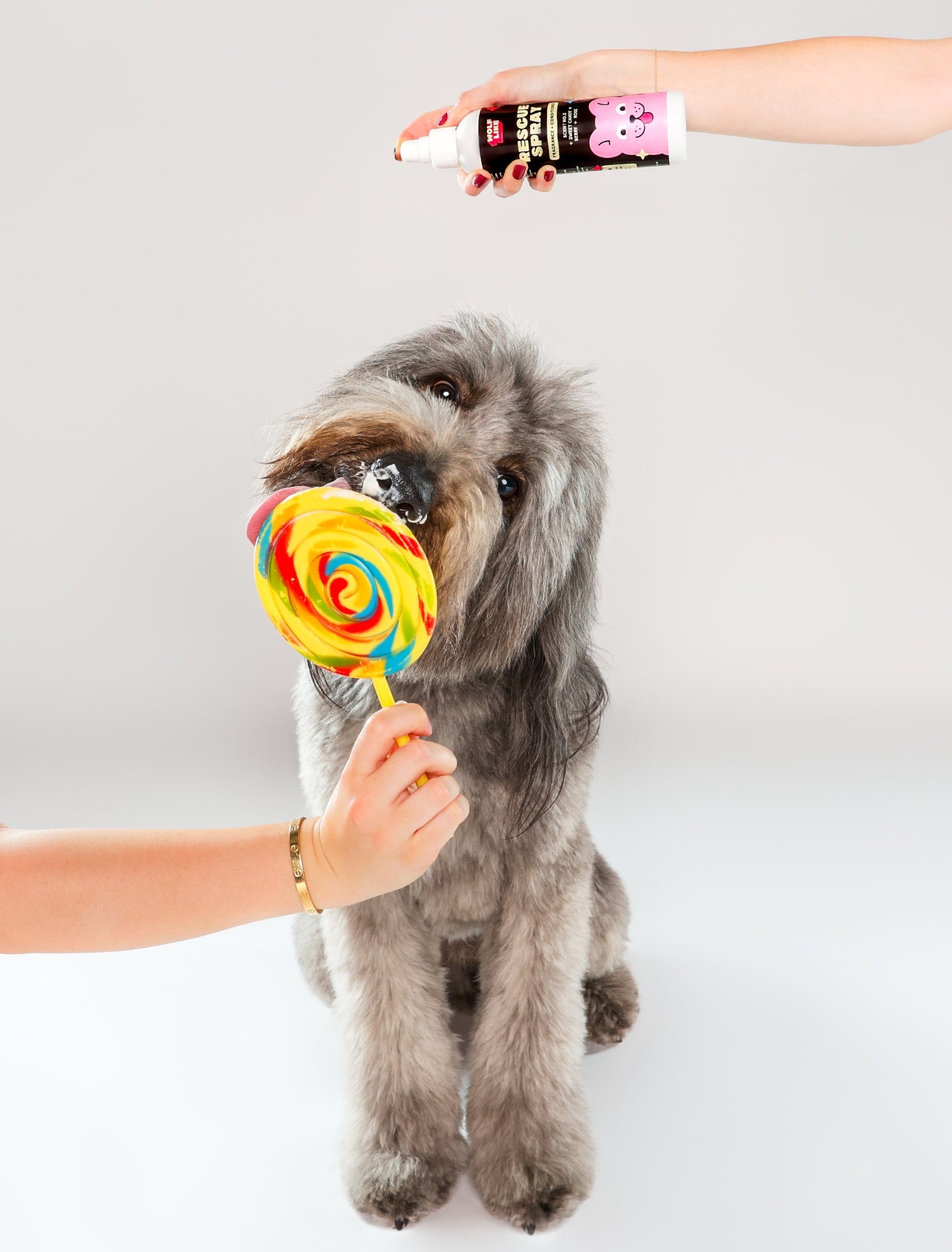 Gentle deodorizing spray, gentle conditioning spray for dogs with sensitive skin. Wolflike Rescue Spray Cereal. Clean dog care and grooming products. Ultra gentle, safe for dogs and for humans. Hormone friendly. Vegan and gluten free dog care grooming products. Doodle grooming products.