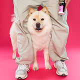 Gentle deodorizing spray, gentle conditioning spray for dogs with sensitive skin. Wolflike Rescue Spray Cereal. Clean dog care and grooming products. Ultra gentle, safe for dogs and for humans. Hormone friendly. Vegan and gluten free dog care grooming products.