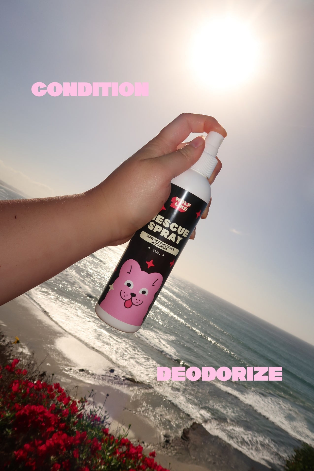 Gentle deodorizing spray, gentle conditioning spray for dogs with sensitive skin. Wolflike Rescue Spray Cereal. Clean dog care and grooming products. Ultra gentle, safe for dogs and for humans. Hormone friendly. Vegan and gluten free dog care grooming products.
