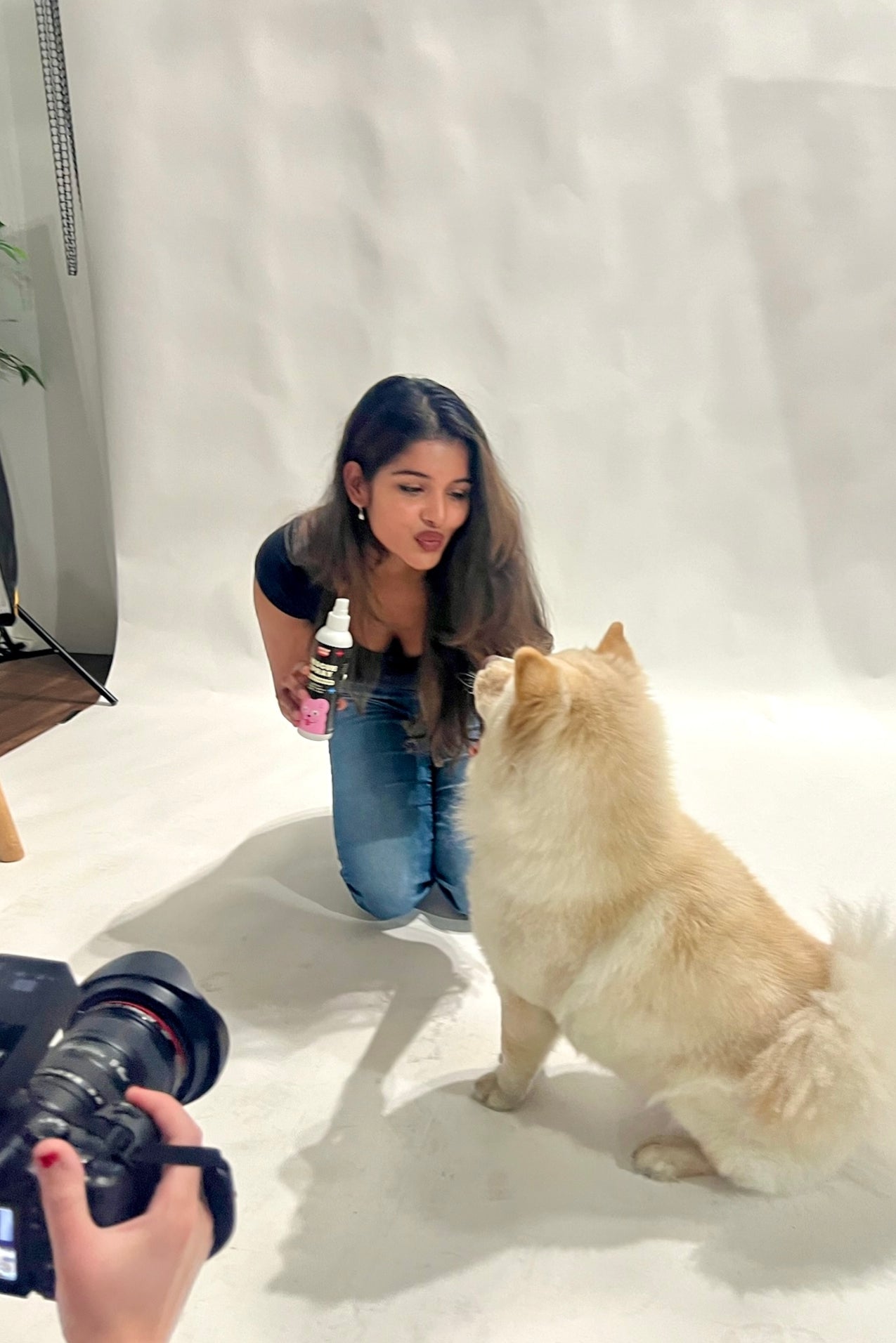 Gentle deodorizing spray, gentle conditioning spray for dogs with sensitive skin. Wolflike Rescue Spray Cereal and Cashmere. Clean dog care and grooming products. Ultra gentle, safe for dogs and for humans. Hormone friendly. Vegan and gluten free dog care grooming products.