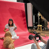 Gentle deodorizing spray, gentle conditioning spray for dogs with sensitive skin. Wolflike Rescue Spray Cereal. Clean dog care and grooming products. Ultra gentle, safe for dogs and for humans. Hormone friendly. Vegan and gluten free dog care grooming products. Doodle grooming products.