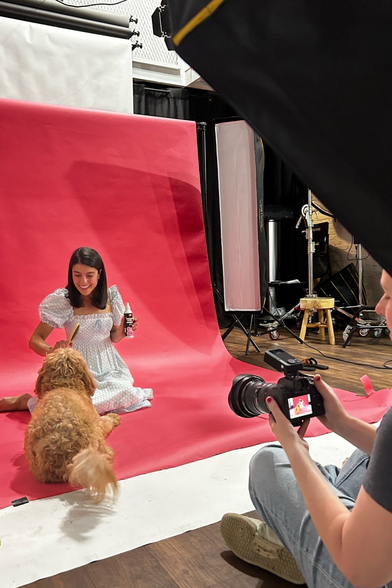 Gentle deodorizing spray, gentle conditioning spray for dogs with sensitive skin. Wolflike Rescue Spray Cereal. Clean dog care and grooming products. Ultra gentle, safe for dogs and for humans. Hormone friendly. Vegan and gluten free dog care grooming products. Doodle grooming products.