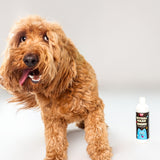 Wolflike dog grooming hair care products. Gentle dog shampoo and conditioner for dogs with sensitive skin. Deodorizing shampoo for dogs with sensitive skin. Wolflike Ritual Wash dog shampoo and conditioner. Clean dog care and grooming products. Ultra gentle, safe for dogs and for humans. Hormone friendly. Vegan and gluten free dog care grooming products. Doodle grooming products.